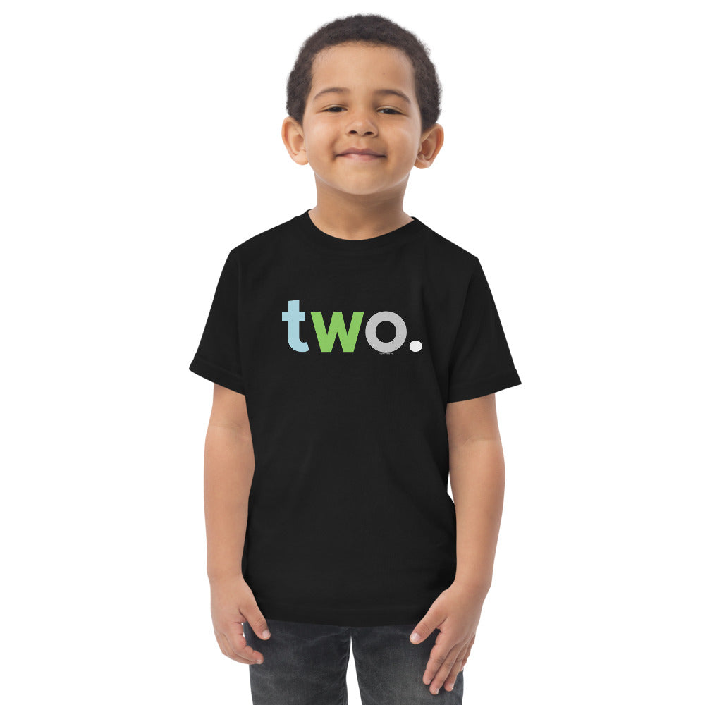 Boys 2nd Birthday Shirt Two - Alternative