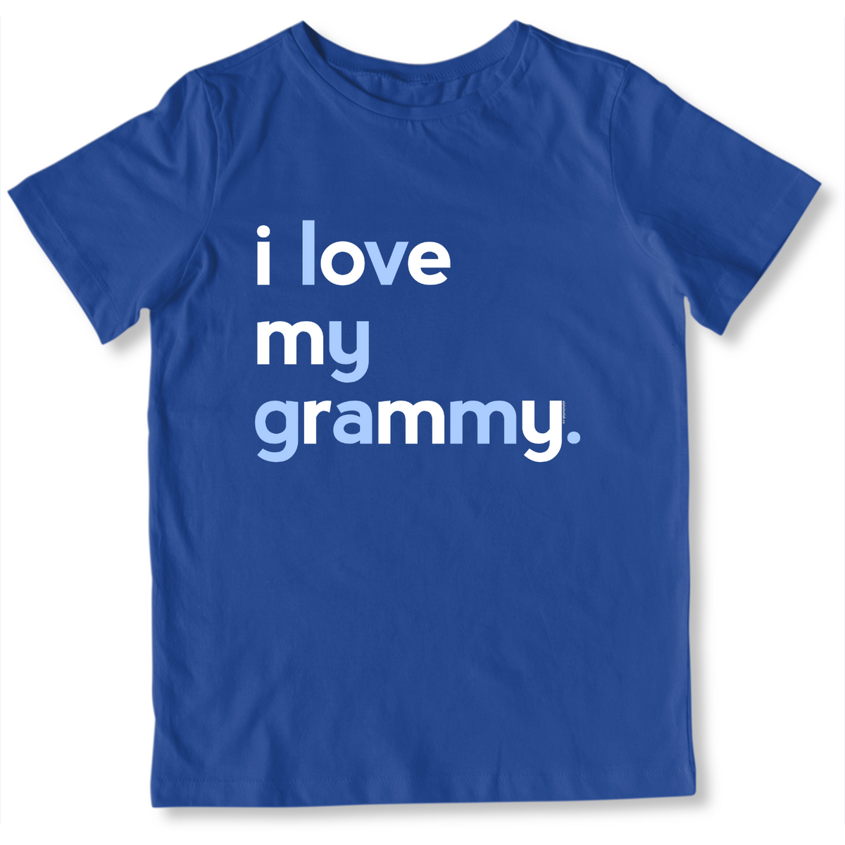 Boys I Love My Grammy T-Shirt - Family Shirts