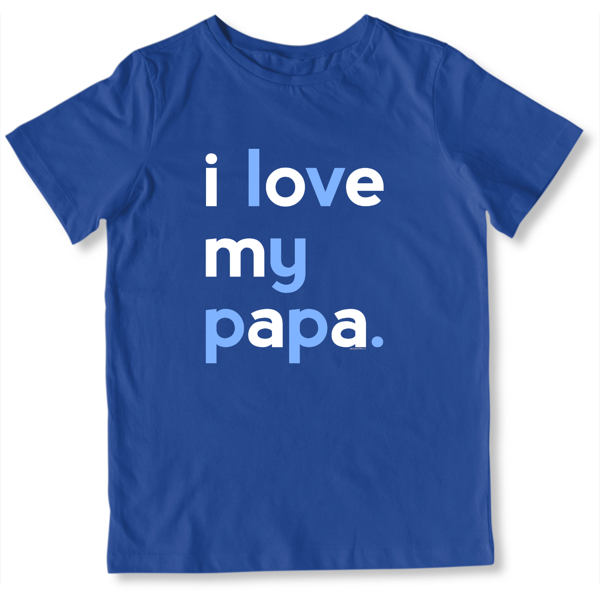 Boys I Love My Papa T-Shirt - Family Shirts