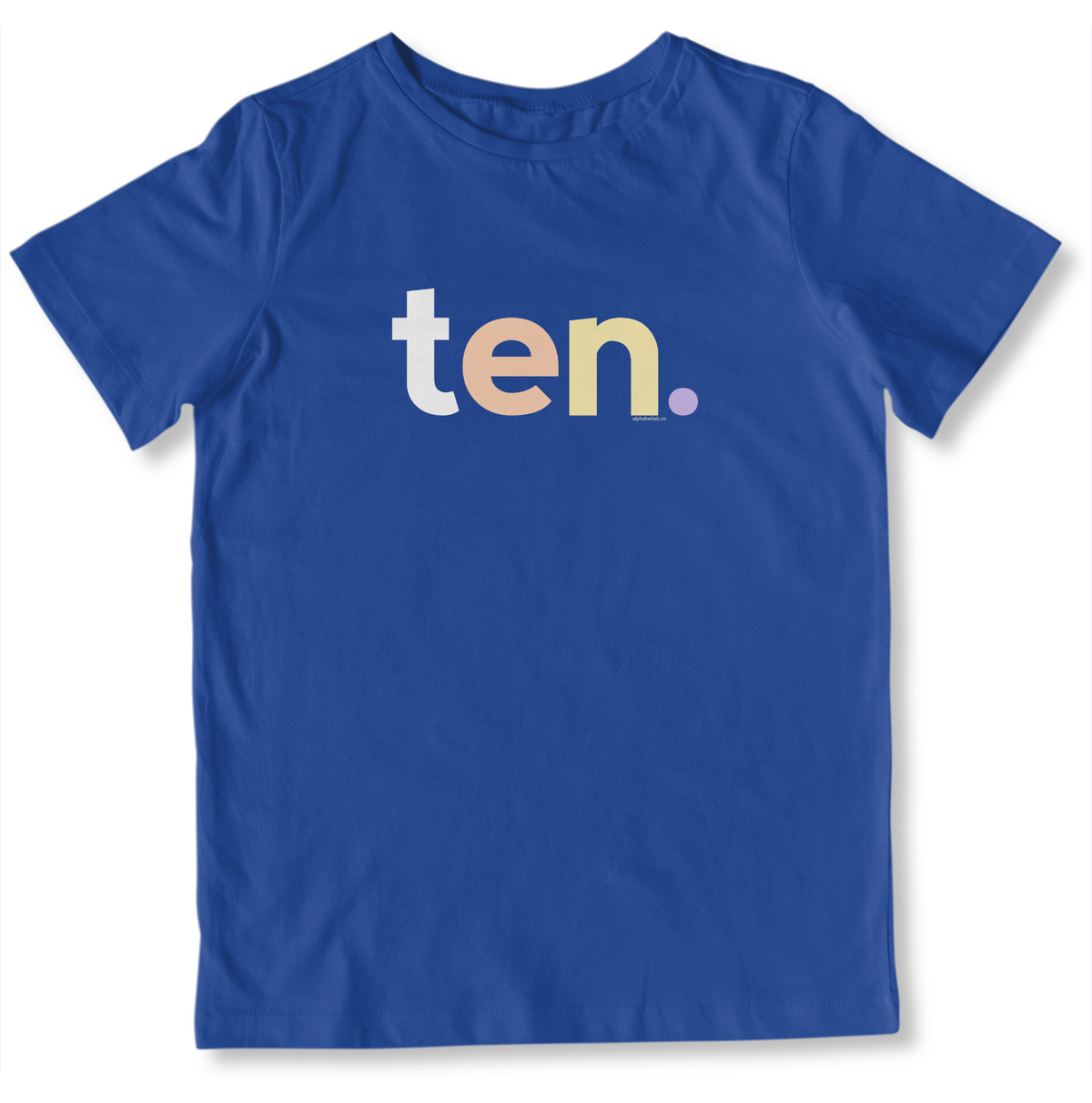 Girls 10th Birthday Shirt - Alternative