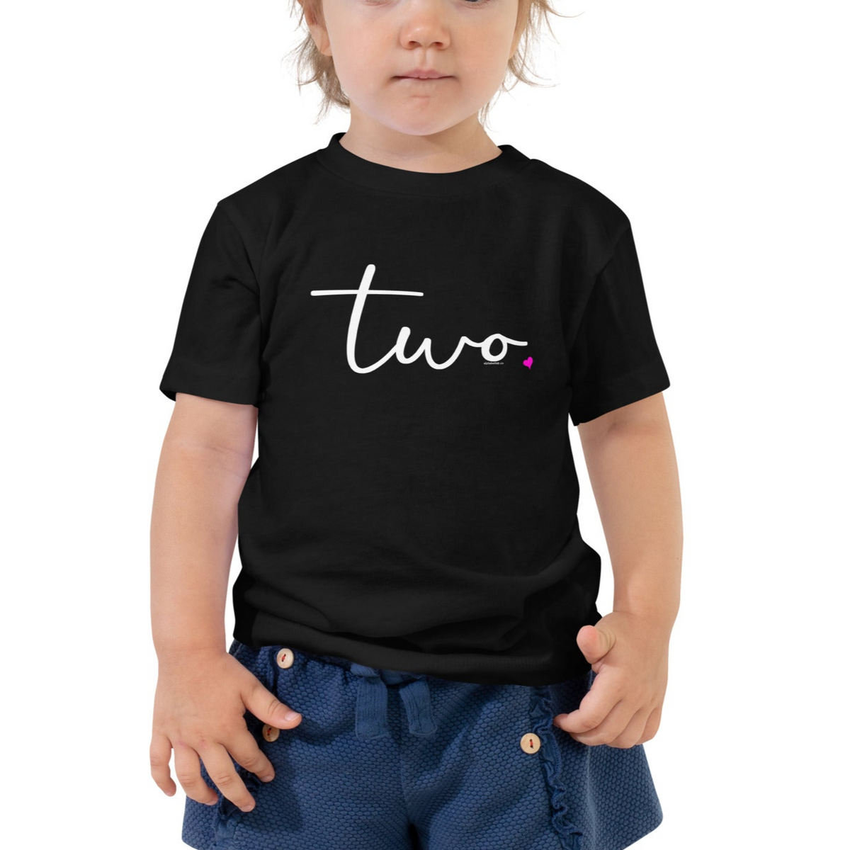 Girls 2nd Birthday Shirt Two - Fine Script